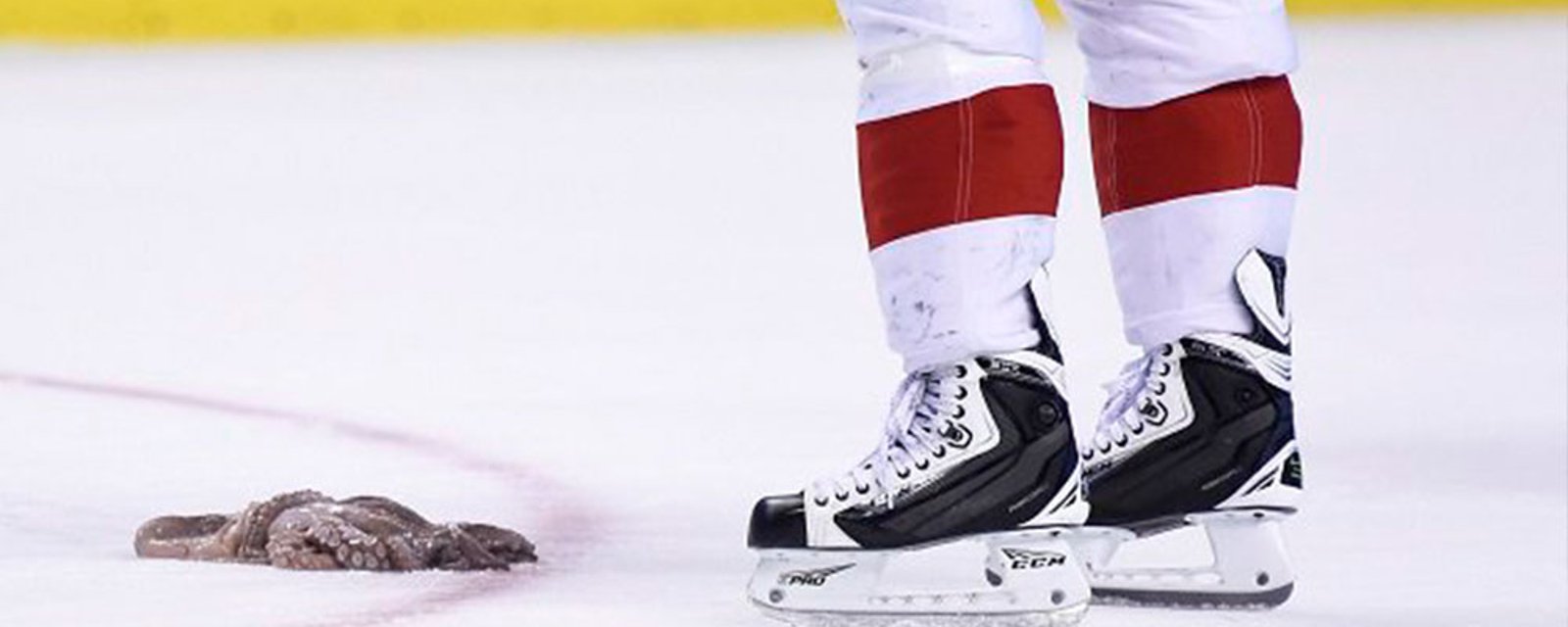 Red Wings fan in Minnesota throws octopus on the ice in final minute