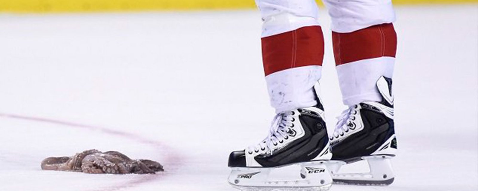 Red Wings fan in Minnesota throws octopus on the ice in final minute 