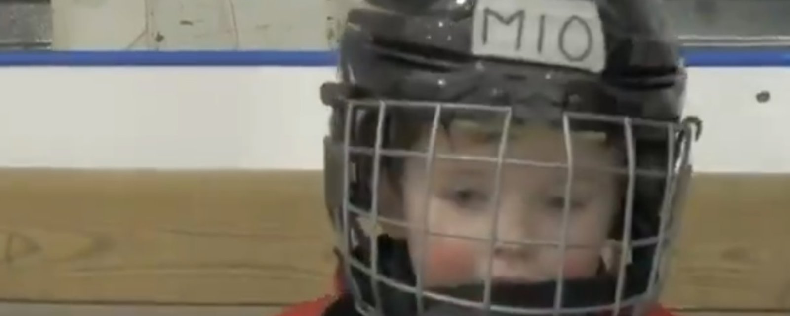 Meet Milo, a TWO year old hockey prodigy.