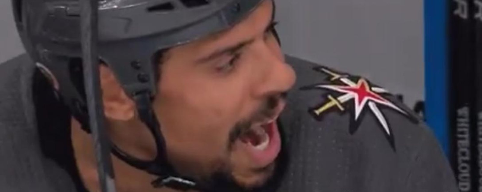 Ryan Reaves taunts the Vancouver Canucks bench in Game 1.