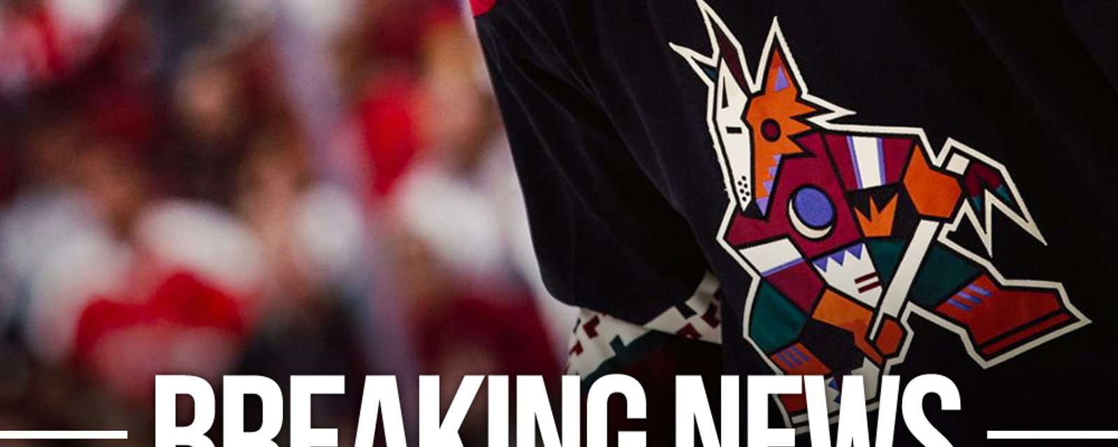 Coyotes officially renounce their draft pick and cut ties with Mitchell Miller