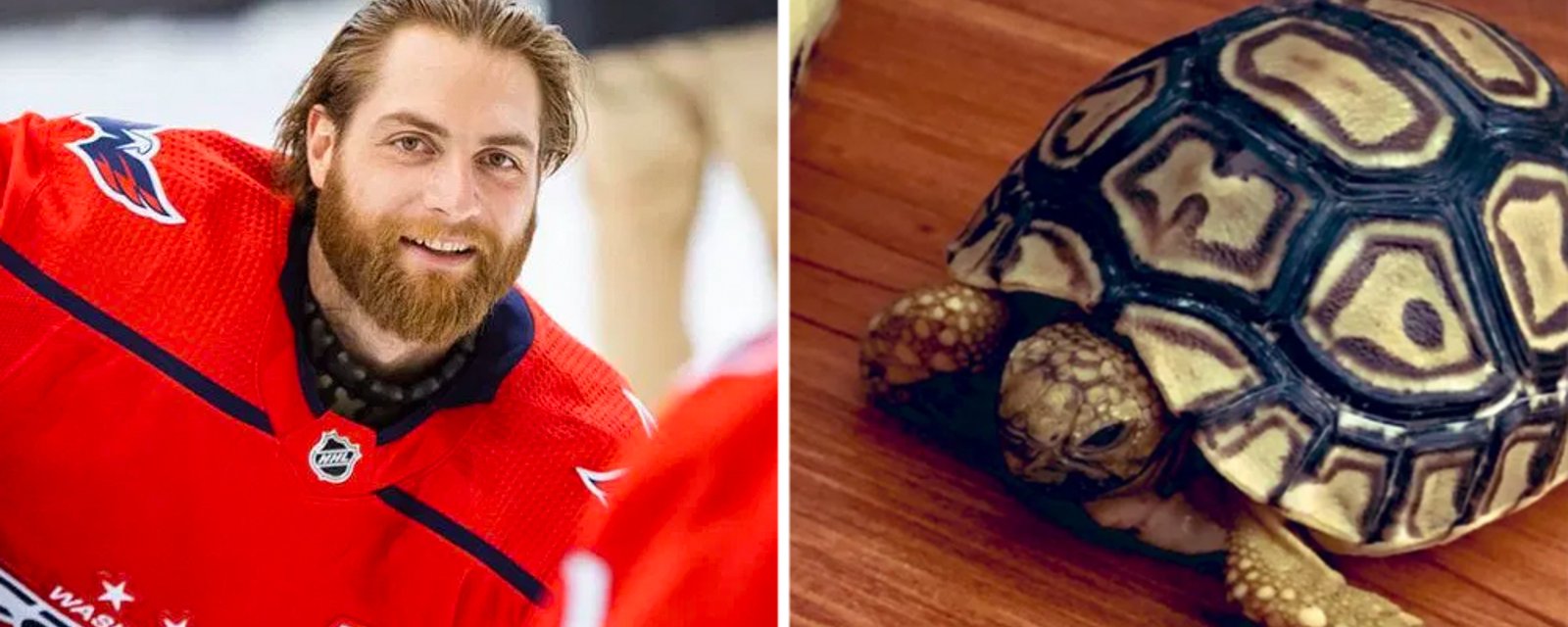 Braden Holtby stuck at the Canadian border with his turtles