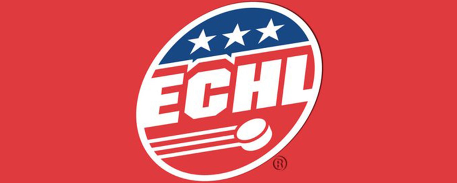 More than a half dozen ECHL teams will not play this upcoming season