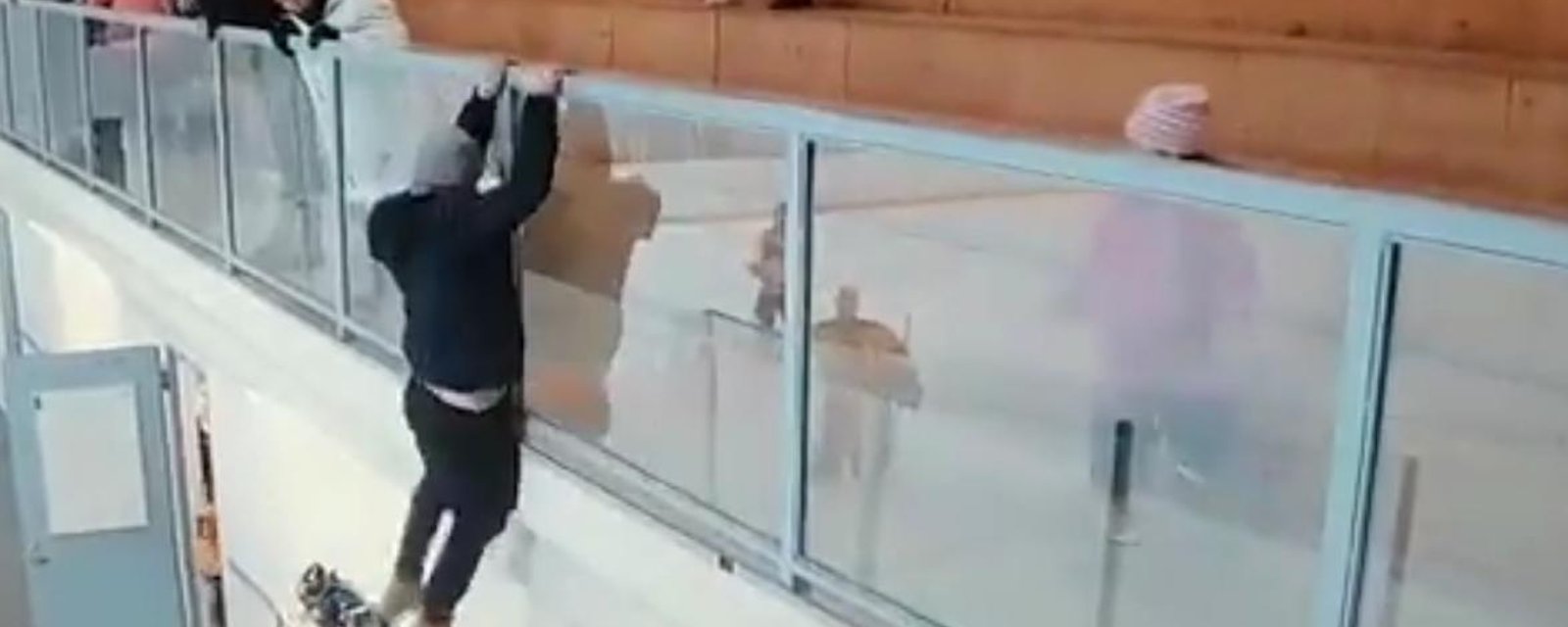 Crazed hockey fan jumps over the glass to attack a player.
