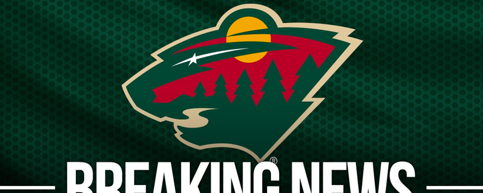 Report: NHL to shut down Wild for at least a week