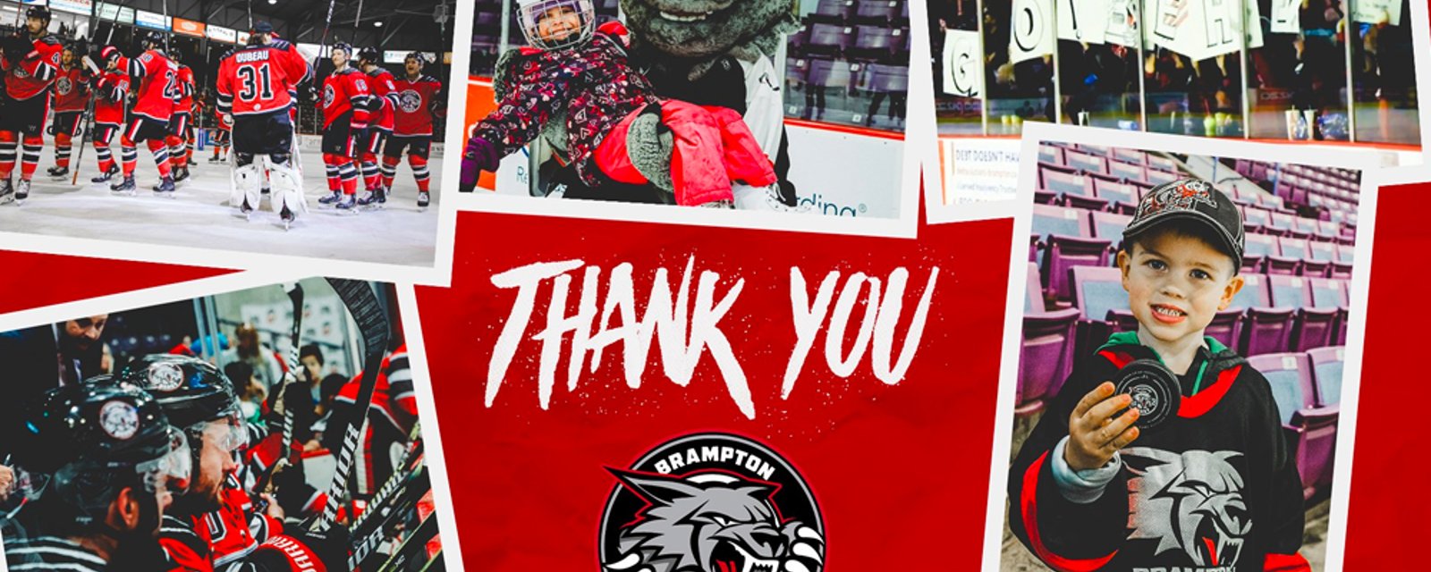COVID-19 claims its first pro hockey official victim, ECHL's Brampton Beast cease operations permanently 