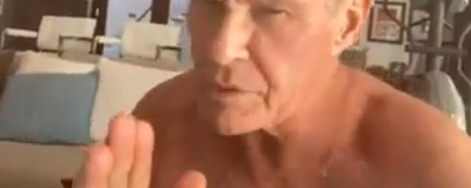 A shirtless David Hasselhoff makes a bizarre cameo for the Canadiens.