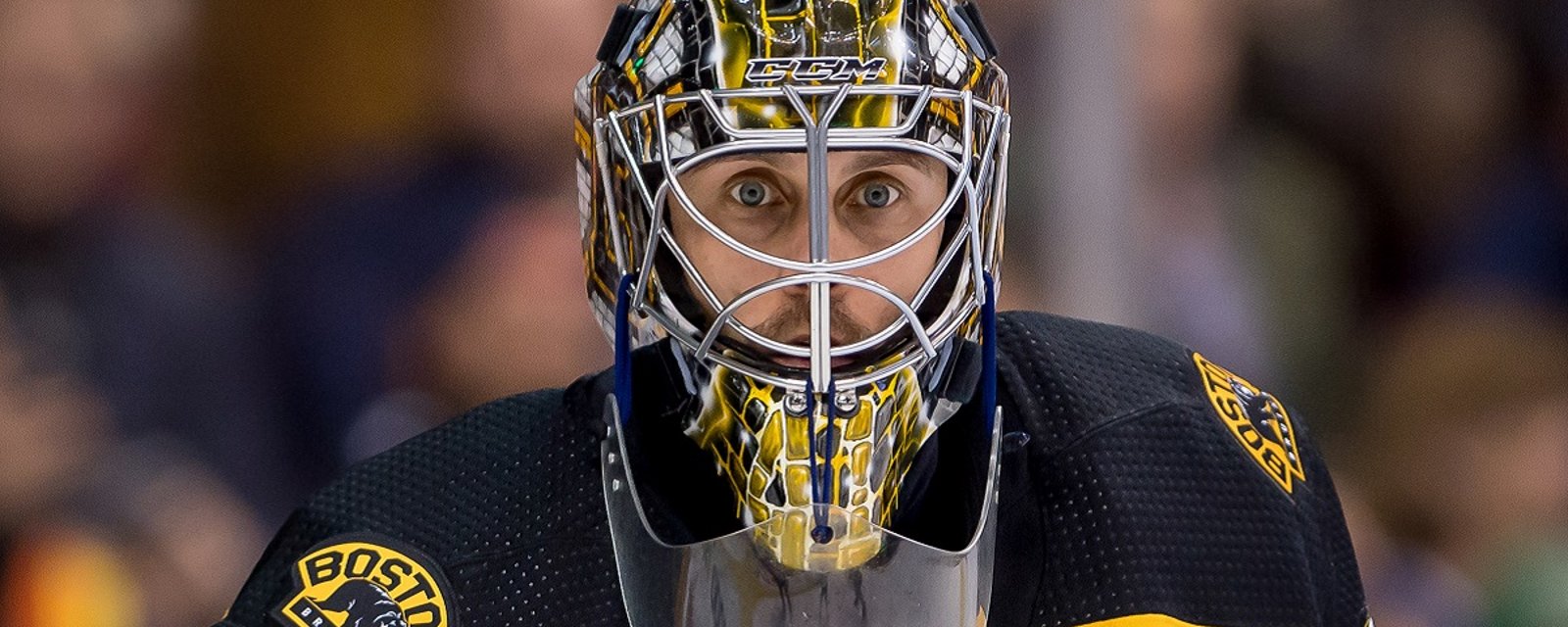 Bruins lose Jaroslav Halak, forced to recall another goalie.