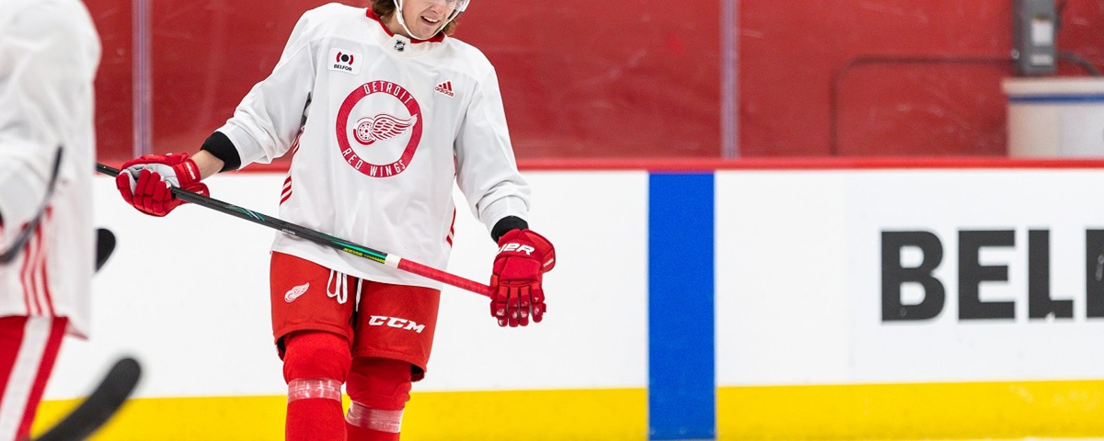 Red Wings Gold Medal winner may be exposed at the expansion draft.