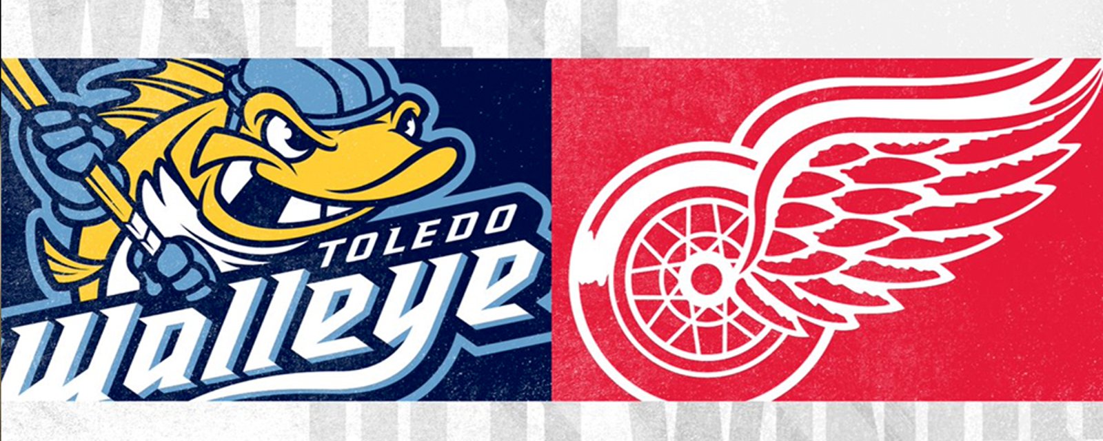 Detroit Red Wings announce continuation of ECHL partnership 