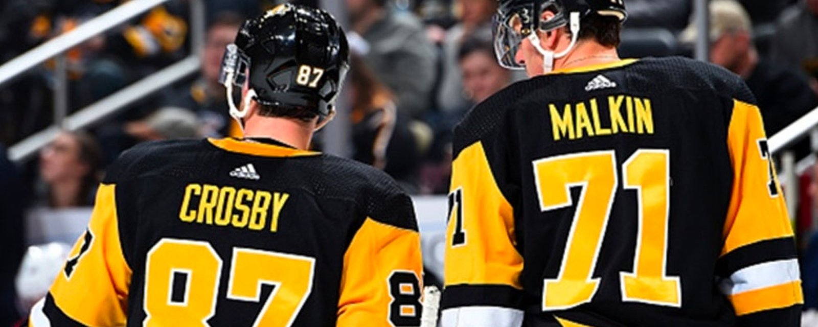 Penguins provide update on Crosby and Malkin, both out long term