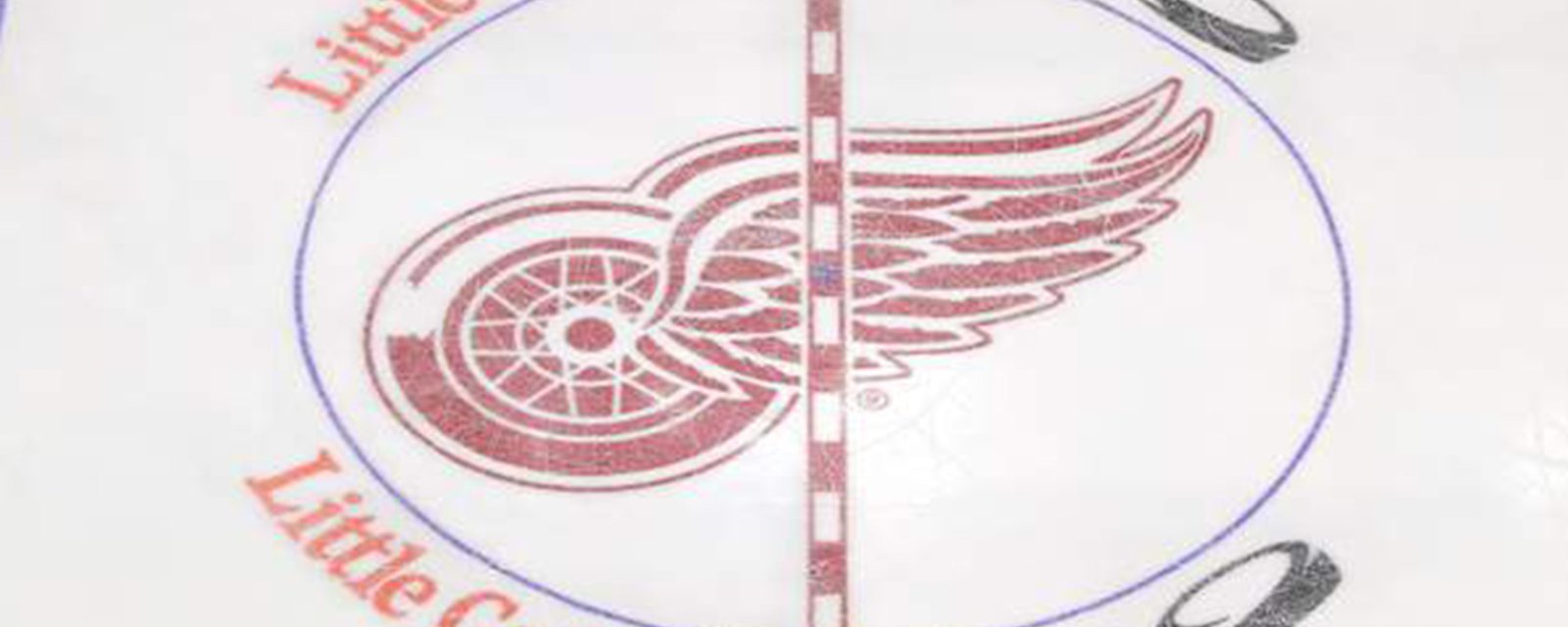 Red Wings waive two more players as roster continues to take shape 