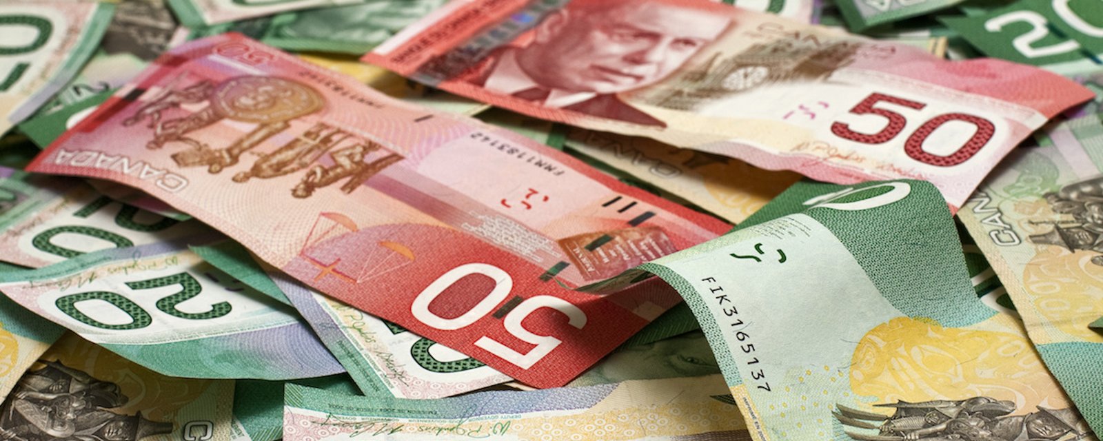 Le gouvernement du Canada va offrir 5000$ aux gens pour des rénovations « vertes »