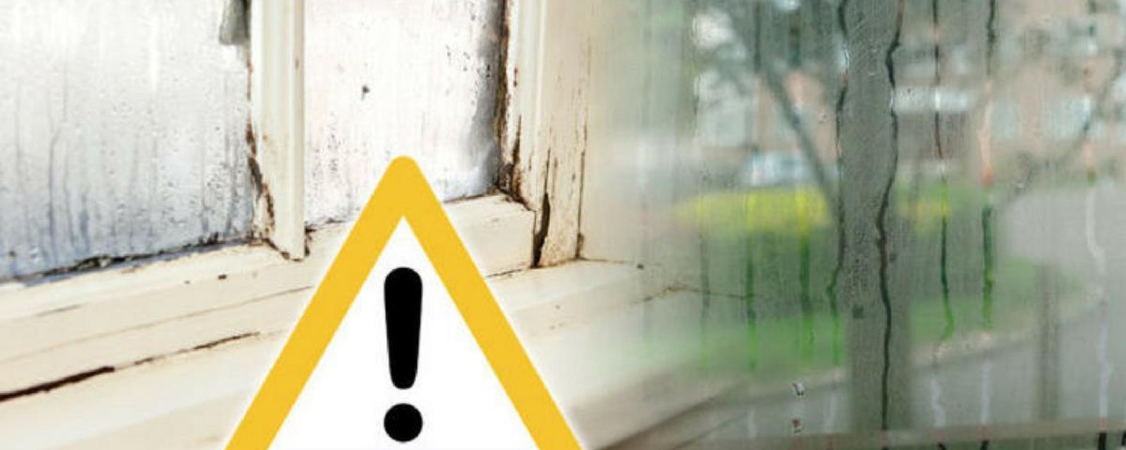 5 astuces simples et pratiques pour se débarrasser de la condensation dans votre maison