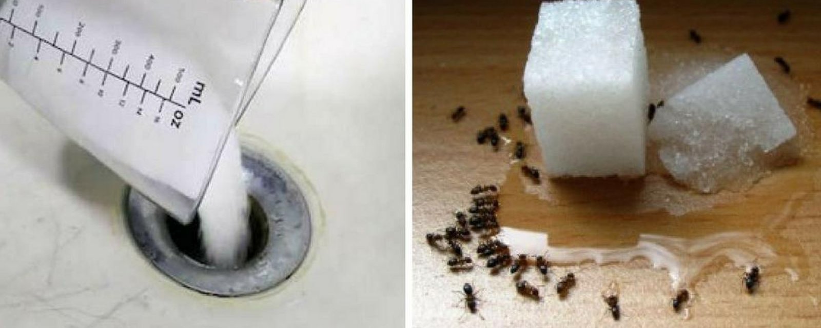 10 utilisations insoupçonnées du sel de table, très bon à savoir.
