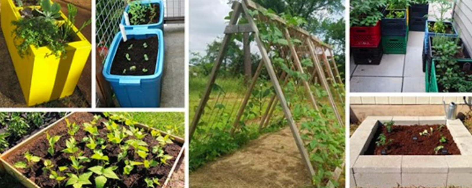 13 installations de jardins surélevés que vous pouvez fabriquer à moindre coût