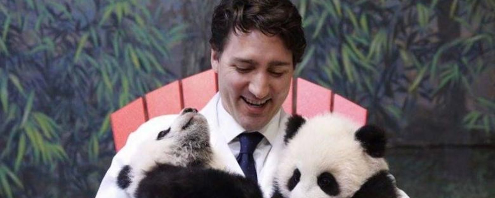 Justin Trudeau fait des caresses à des bébés pandas