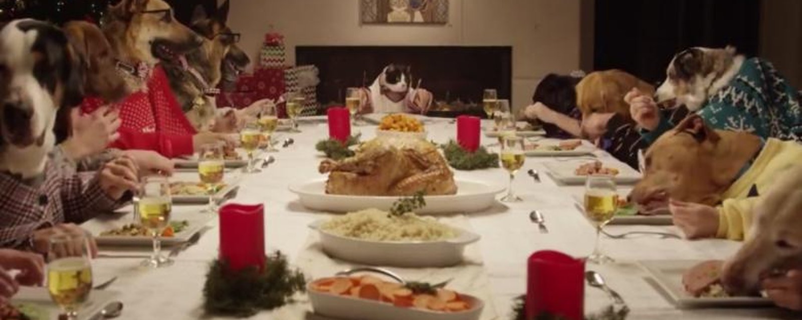 Des animaux se réunissent pour un souper de Noël... Et c'est très drôle!!