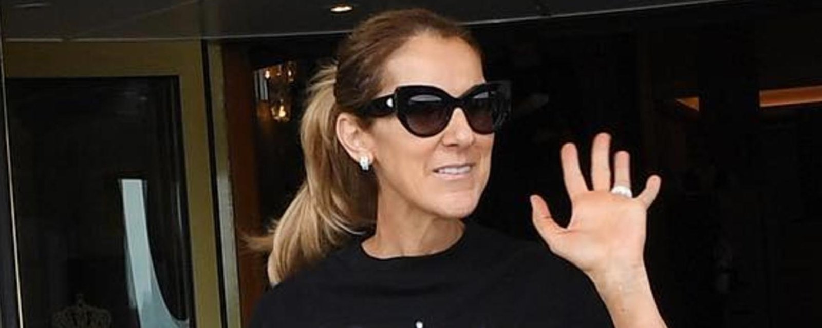 Le nouveau chandail de Céline Dion fait bien des jaloux... vous verrez vite pourquoi!