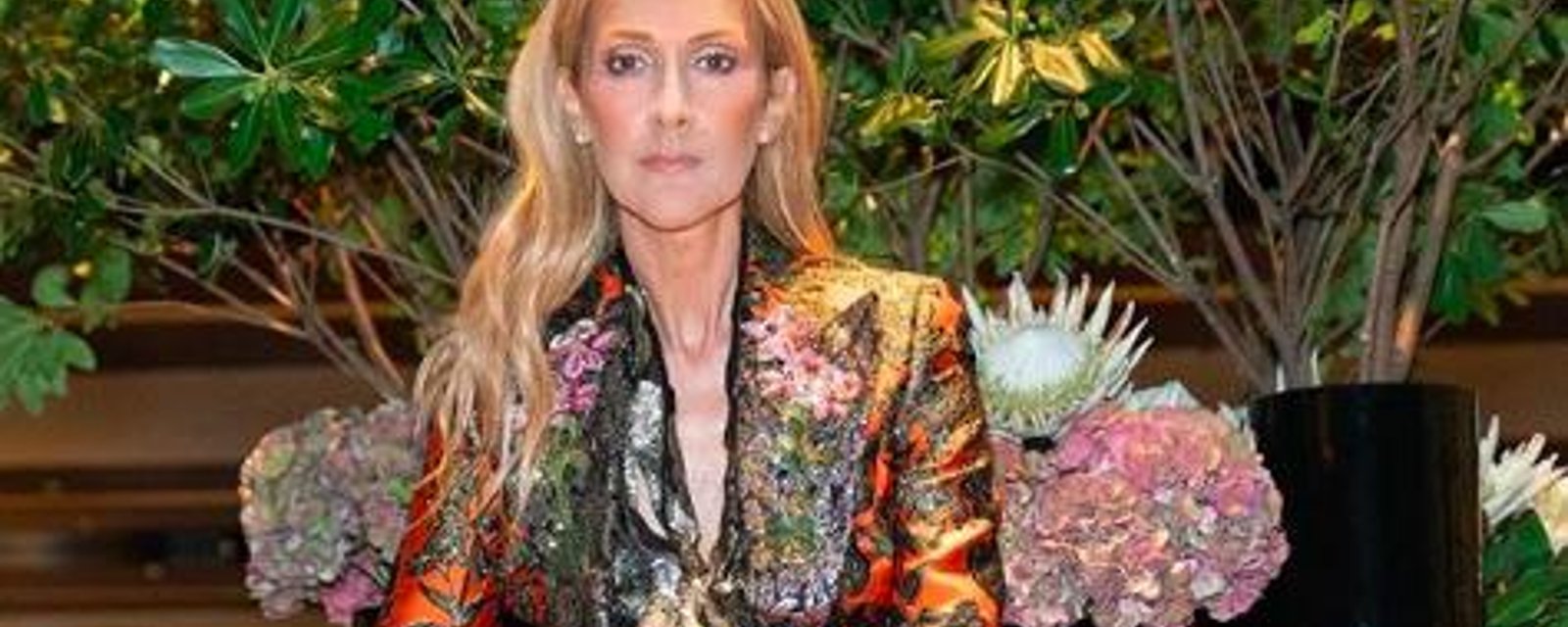 Céline Dion fait exploser le Web avec son nouveau look félin