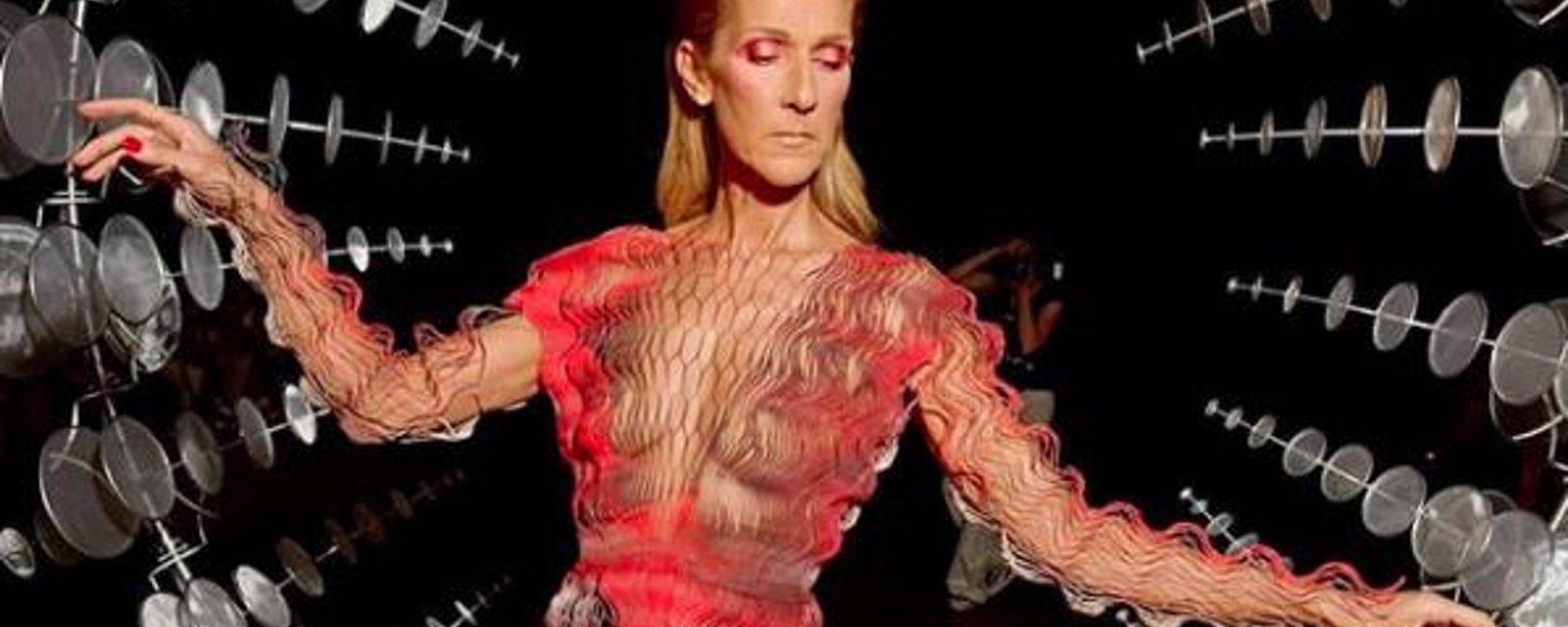 Céline Dion dévoile presque tout dans une robe transparente qui ne fait pas l'unanimité