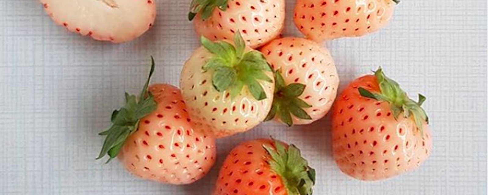 Vous avez envie de fraises et d’ananas? Essayez les pineberrys!