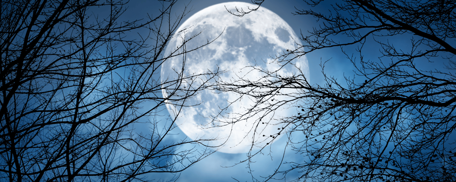 Voici ce que la Pleine Lune en Vierge vous réserve et elle s'annonce pleine de contradictions!