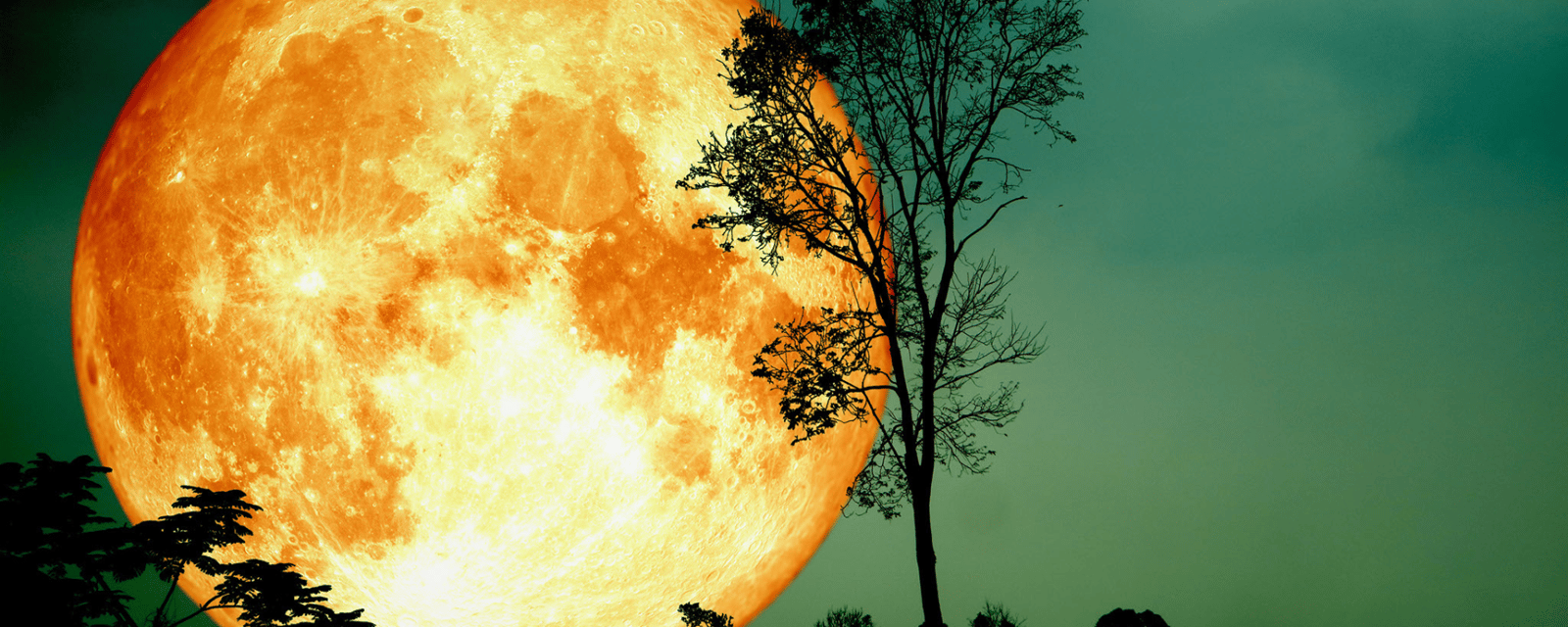 C'est soir de Pleine Lune en Taureau et elle s'annonce particulièrement intense