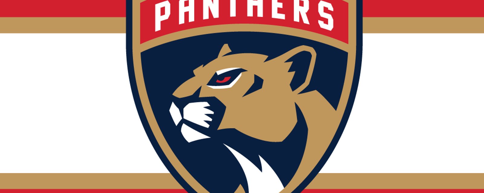 Un artiste fusionne les logos des Panthers et le résultat est à couper le souffle