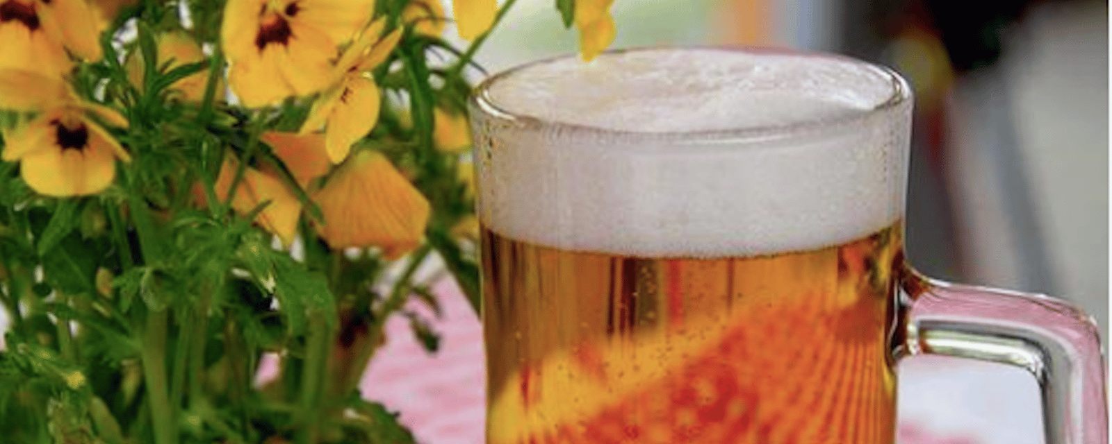 9 façons surprenantes d’utiliser de la bière périmée