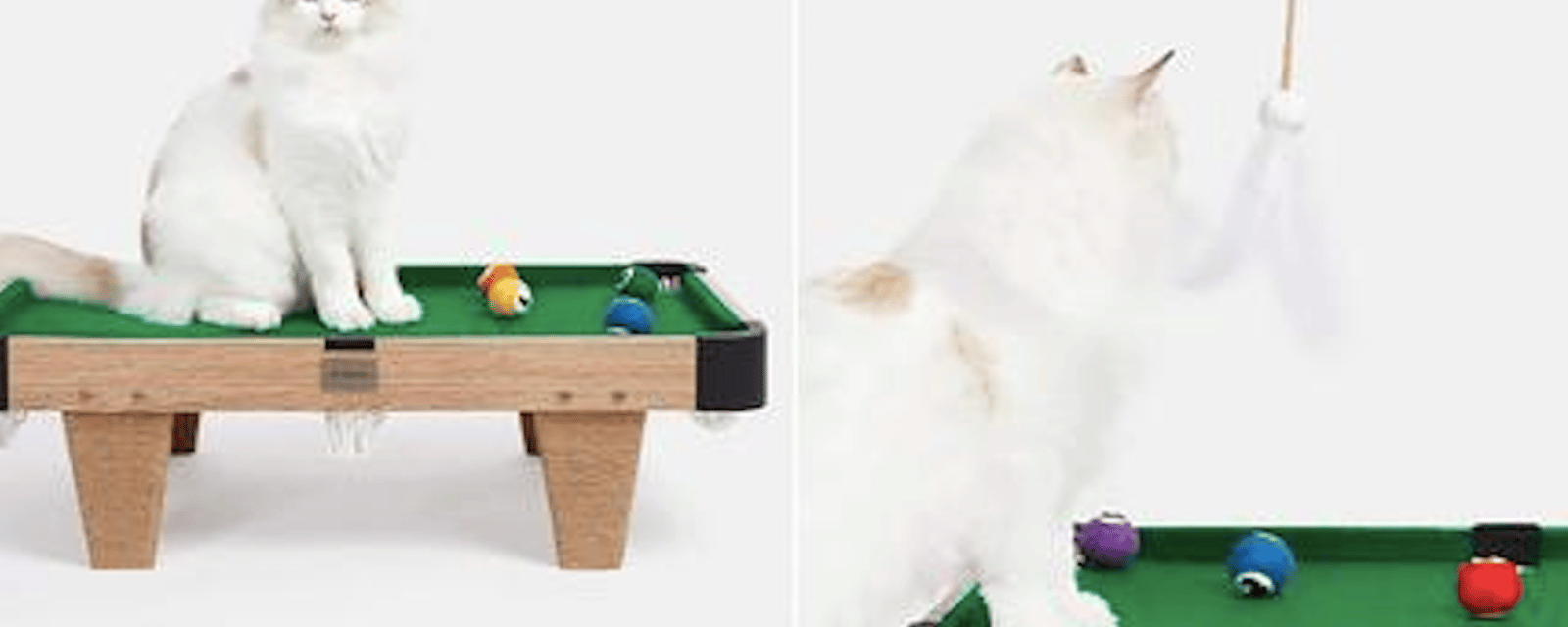 Gadget insolite: une table de billard pour chat