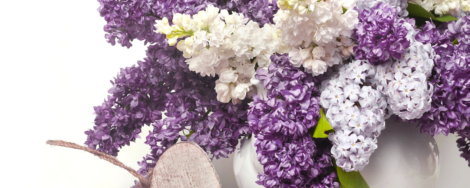 Comment empêcher les lilas de faner dans un vase