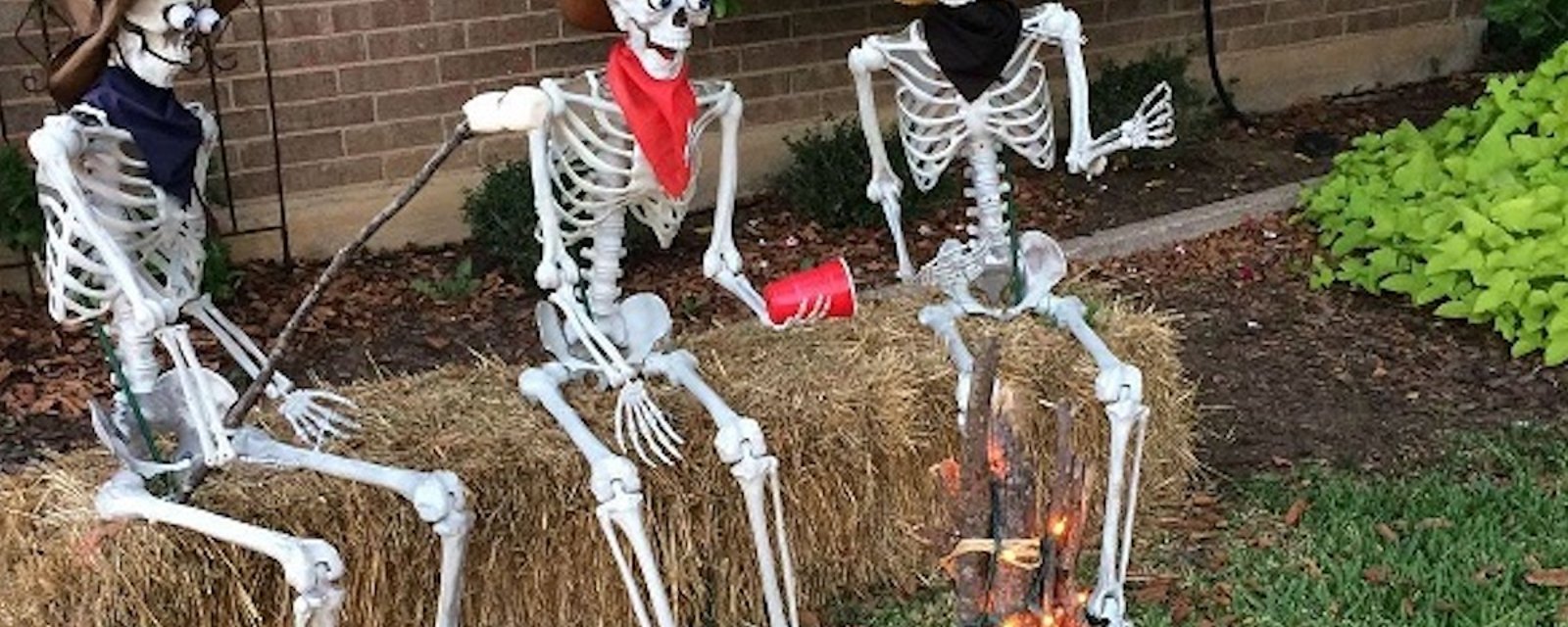 Cette année pour Halloween, les squelettes sont en vedettes