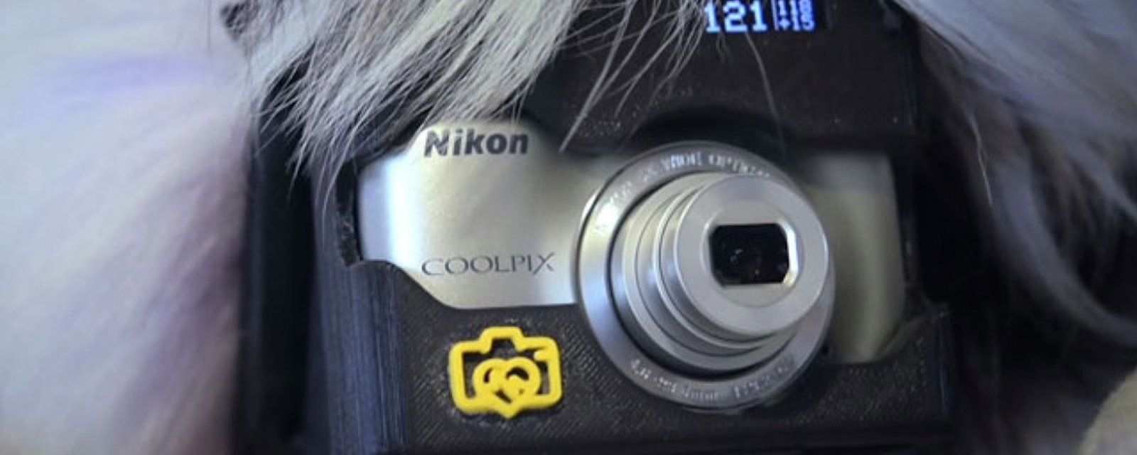 Un appareil photo qui permet au chien d’être photographe