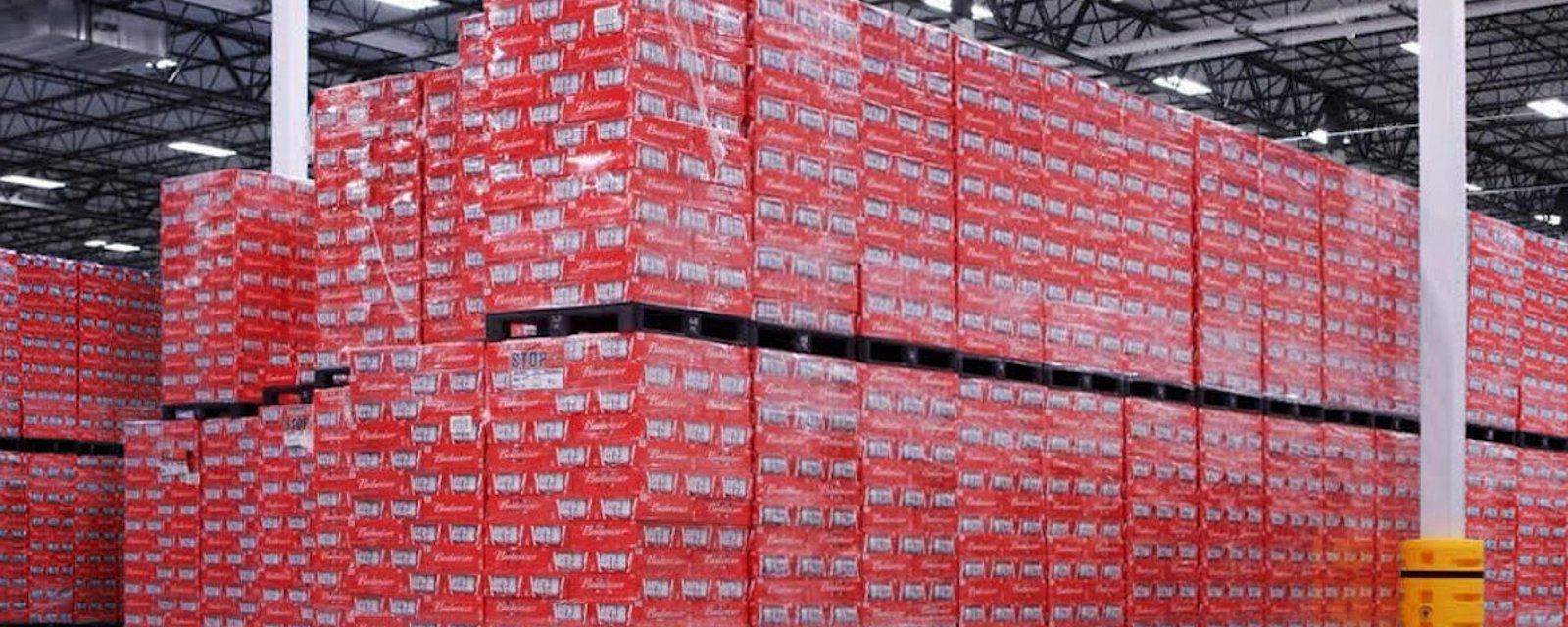 Coupe du monde 2022: Budweiser va donner toute sa bière bloquée au Qatar au pays gagnant