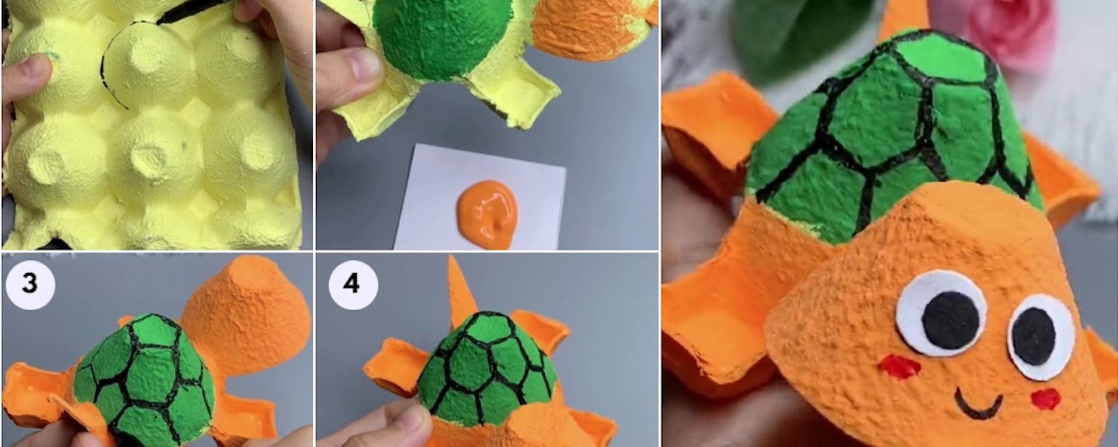 Comment réaliser une adorable tortue avec une boite d'oeufs