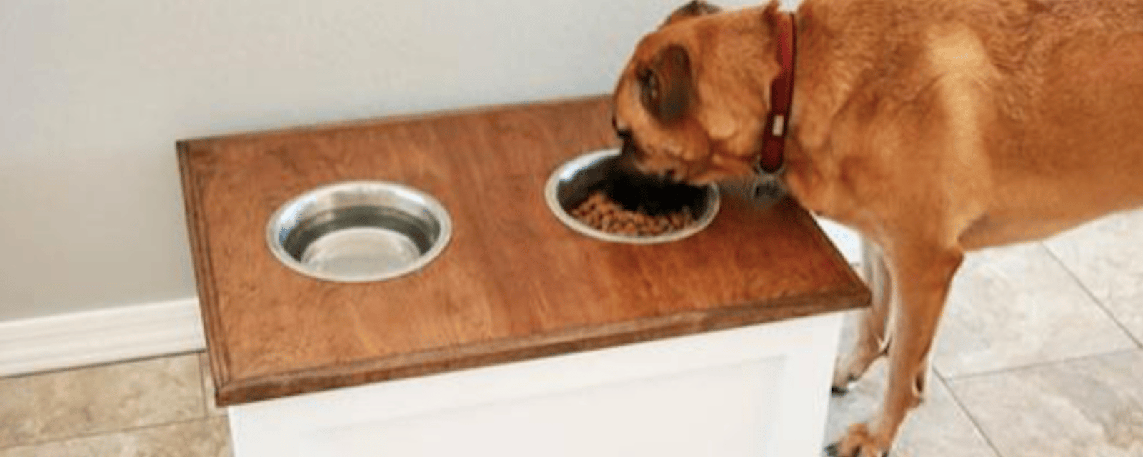 Comment construire une belle station de nourriture  pour chiens