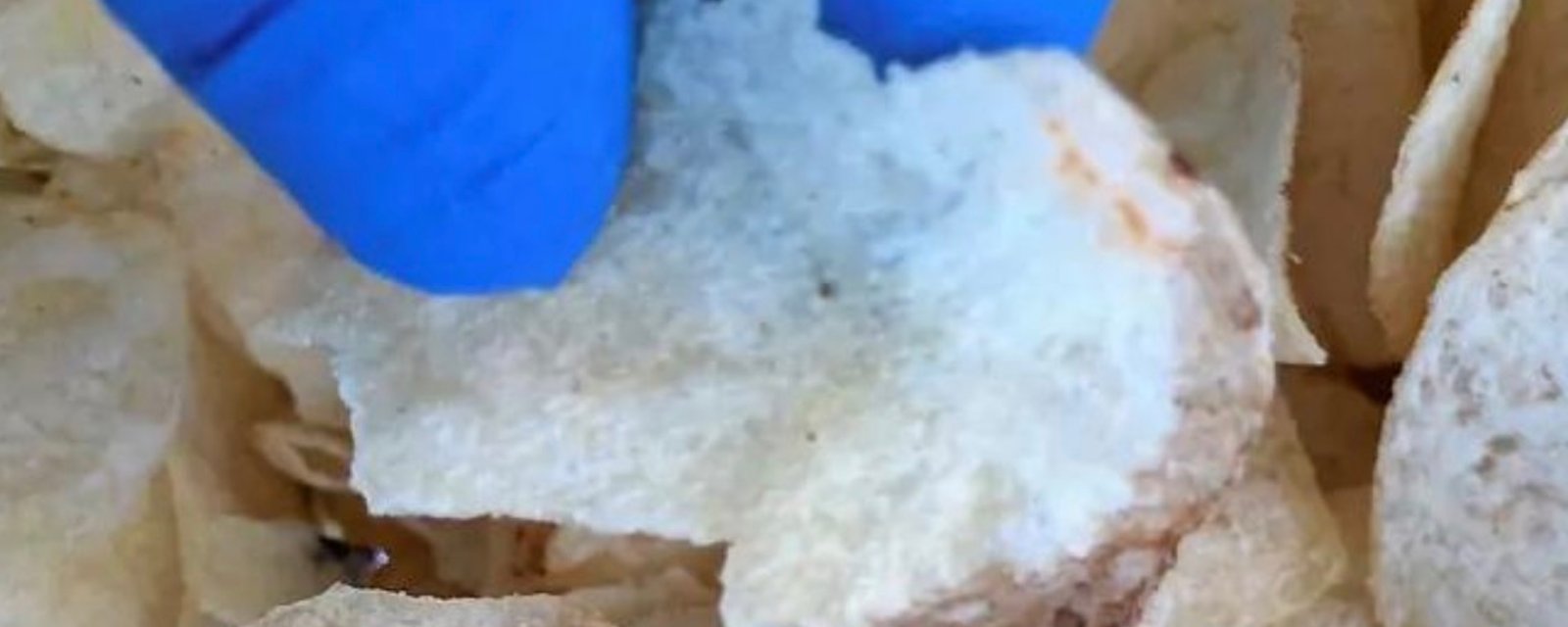 Un couple de Trois-Rivières découvre une souris morte dans leur sac de chips.