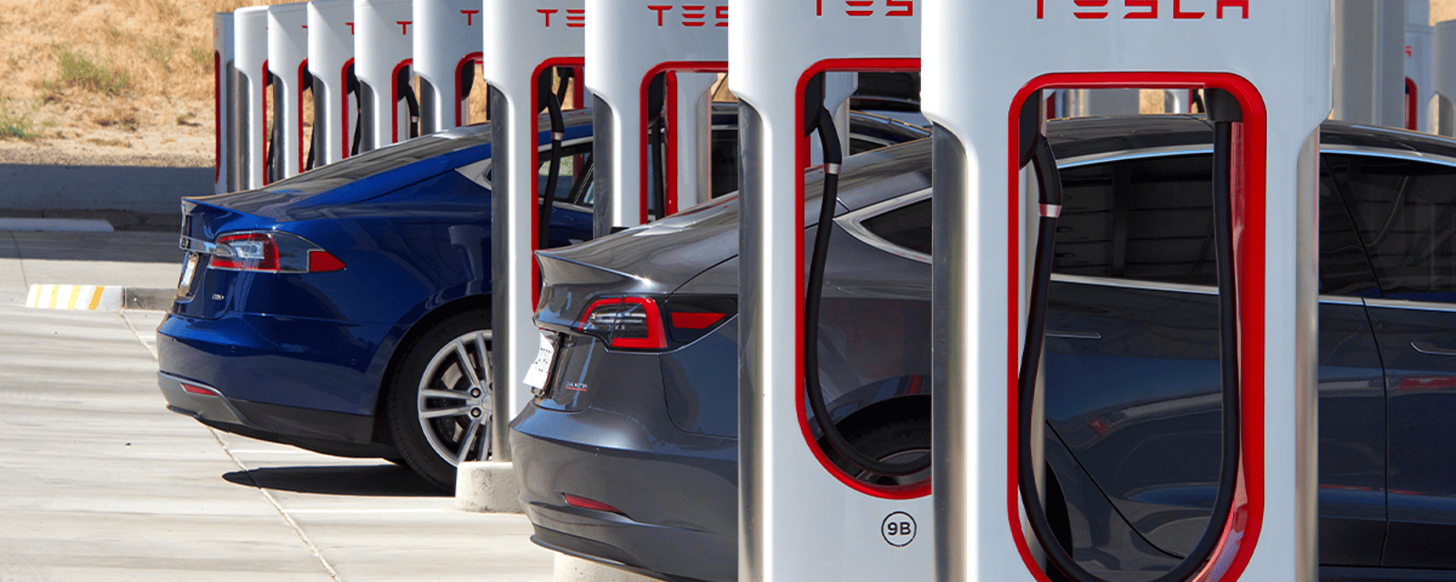 Les experts s'attendent à une année record pour les ventes de voitures électriques