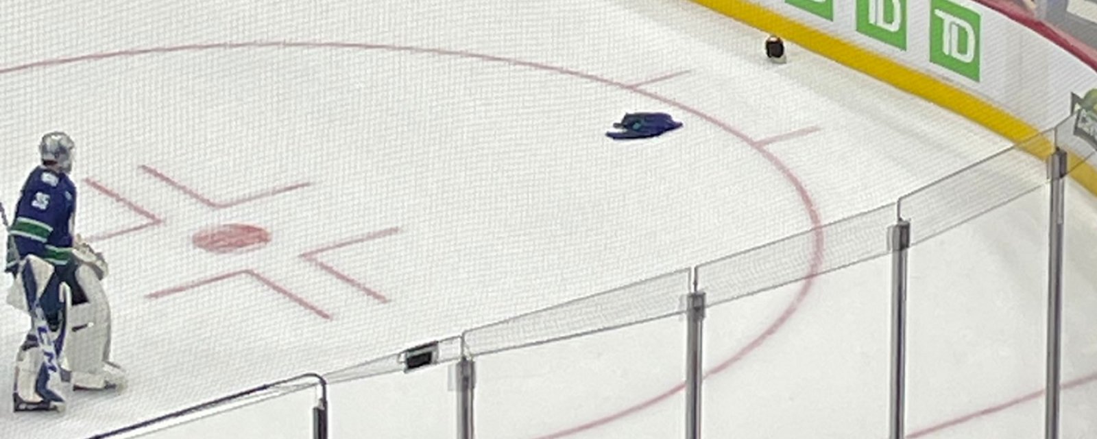 Multiple jerseys thrown on the ice in Canucks home opener.