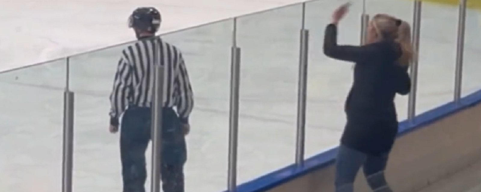 Hockey mom hops onto the boards to get at referee.