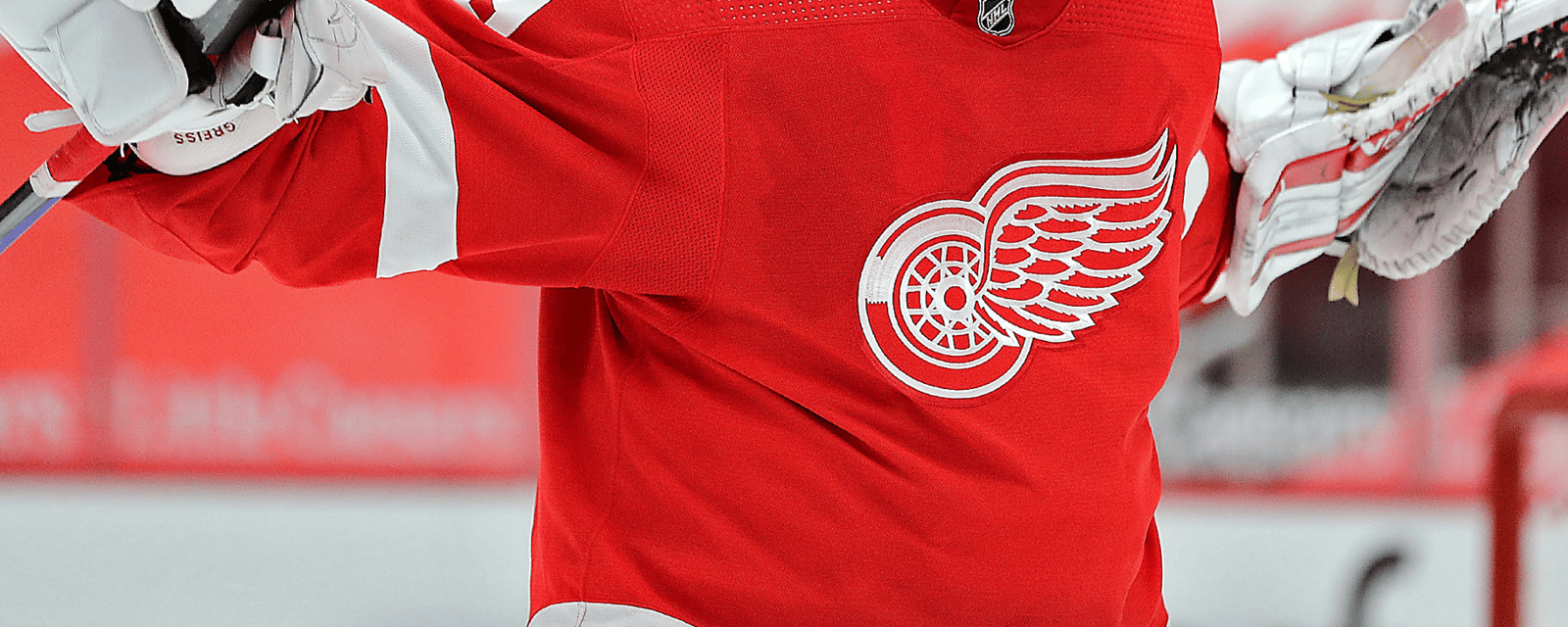 Former Red Wings goaltender hangs up the pads 