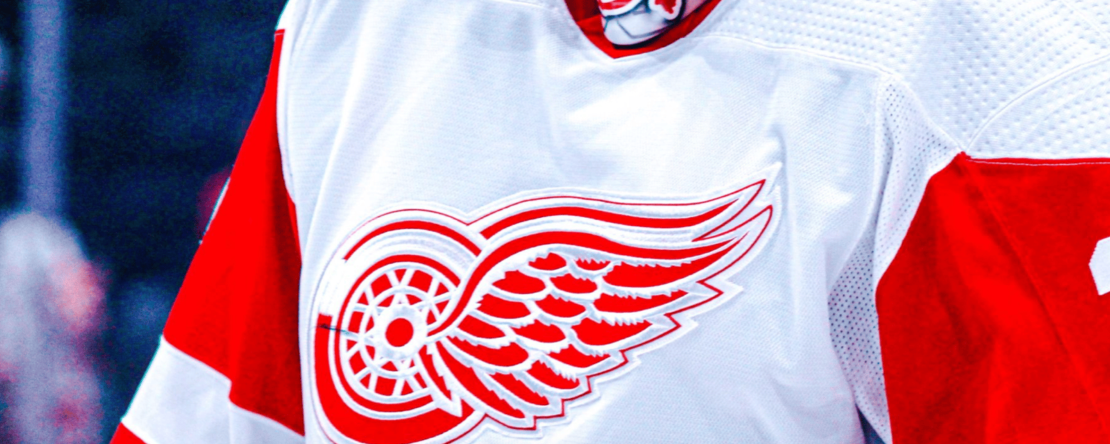 Red Wings officially part ways with goaltender 