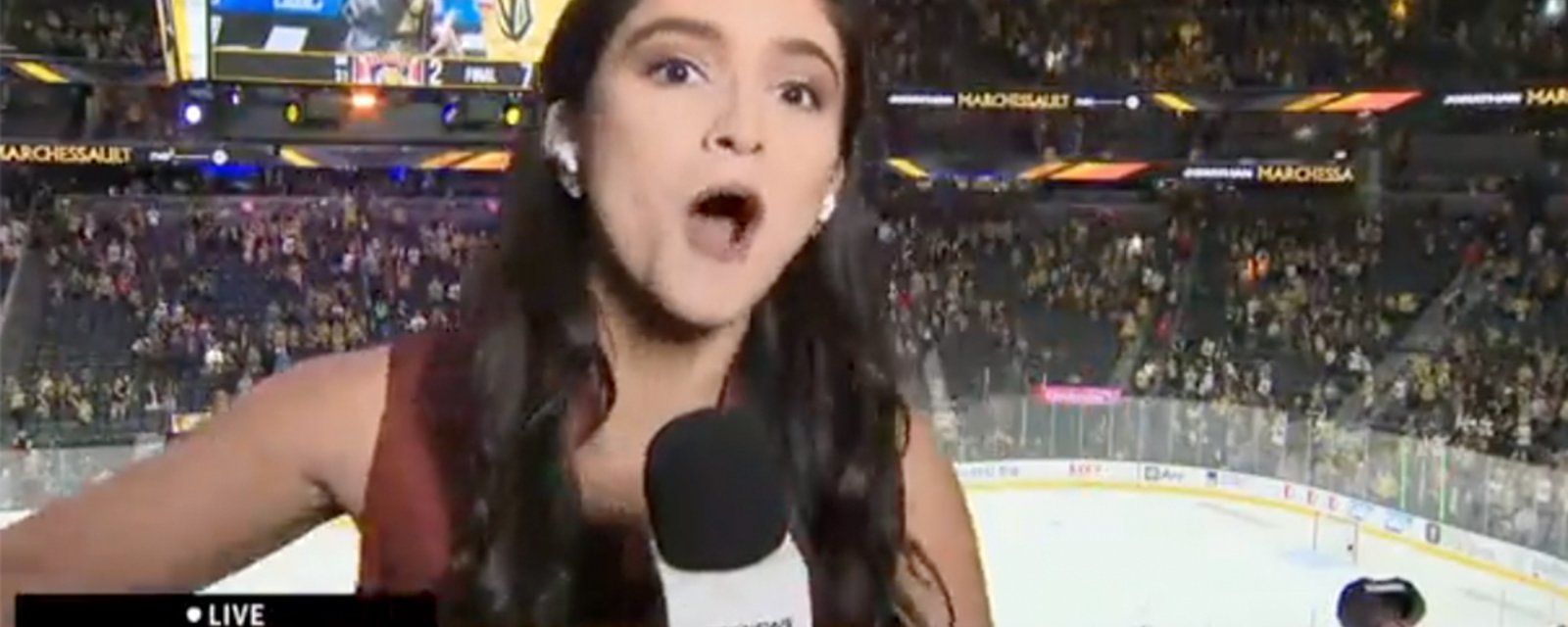 Panthers reporter stiff-arms a rowdy Vegas fan while live on air