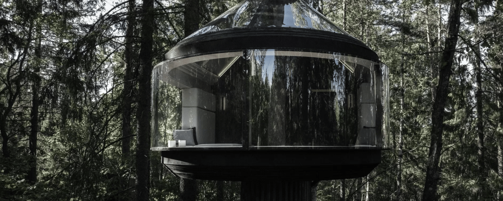 Découvrez l'intérieur de cette unique maison dans les arbres située en pleine forêt
