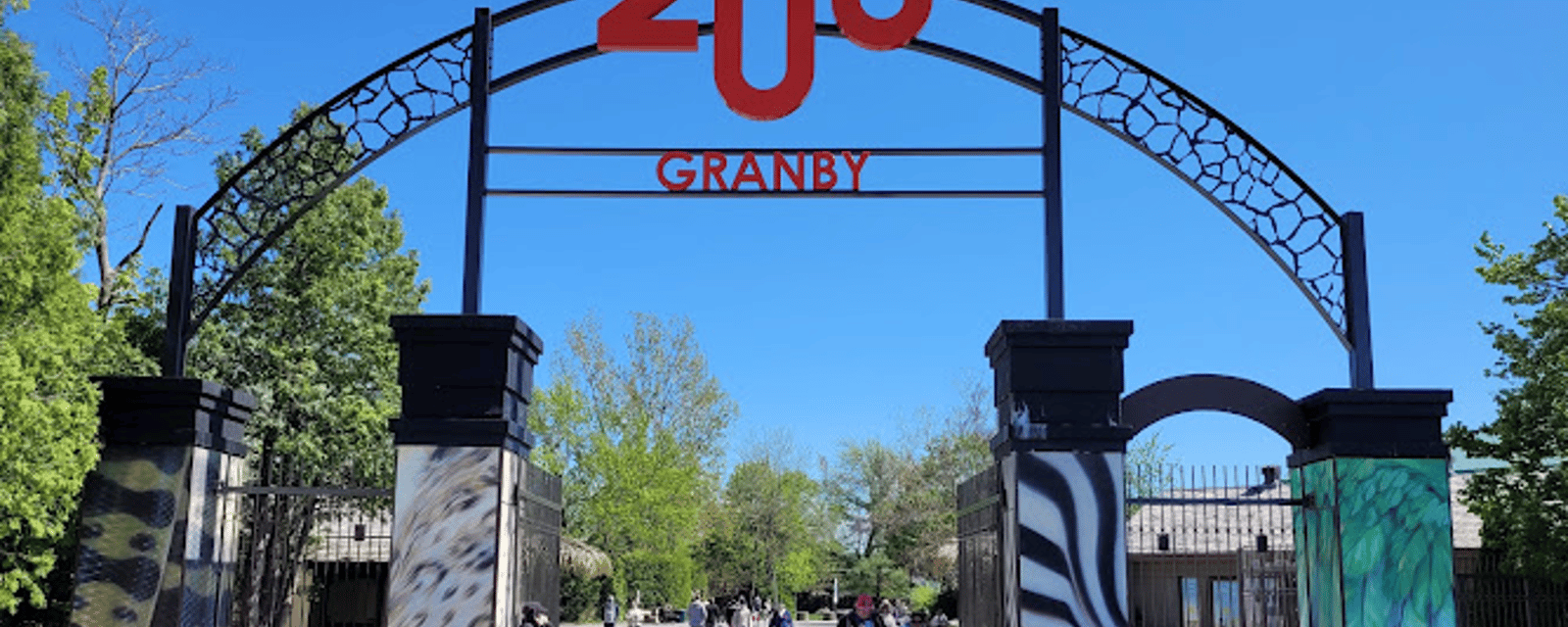 Le zoo de Granby vous présente leurs deux nouveaux pensionnaires d'une espèce très rare