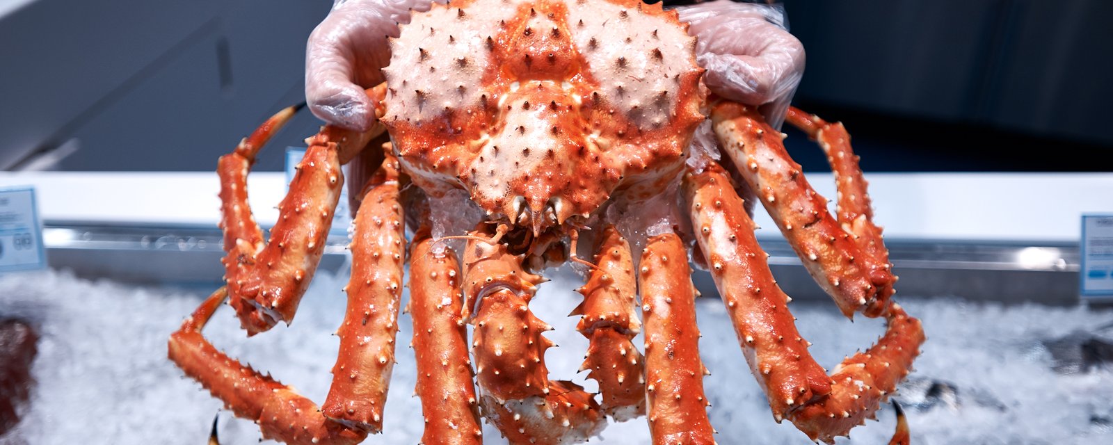 Les Québécois capotent avec le prix du crabe des neige et le boudent.