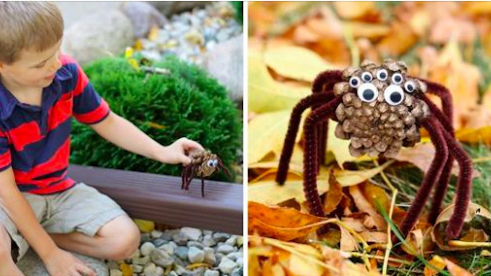 Halloween: comment faire de chouettes araignées en pommes de pin