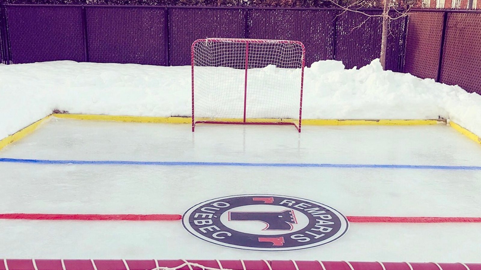 A look at some of this winter's best outdoor rinks(Part 1).