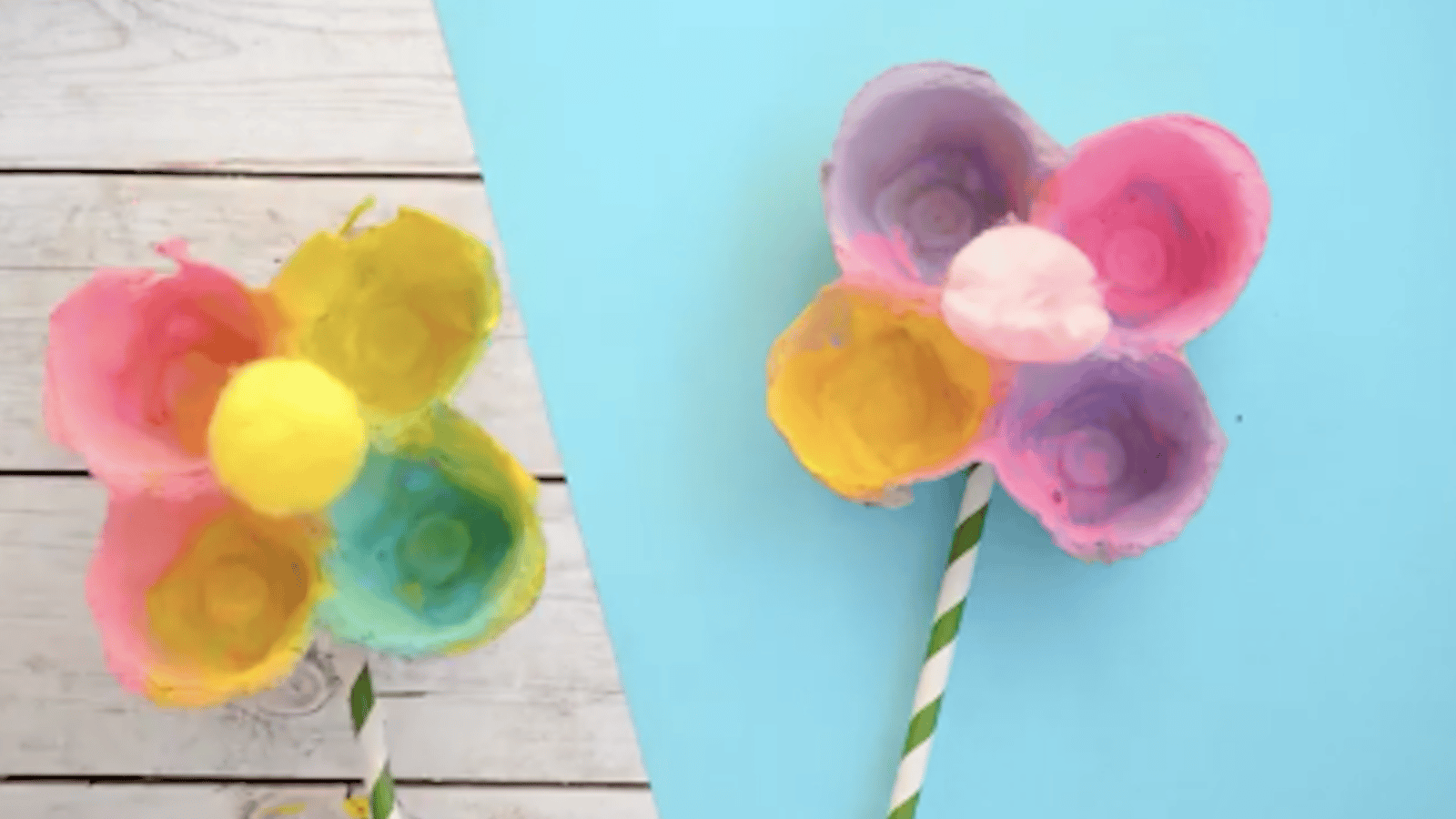Bricolage printanier pour les enfants: des fleurs colorées en boites d'oeufs